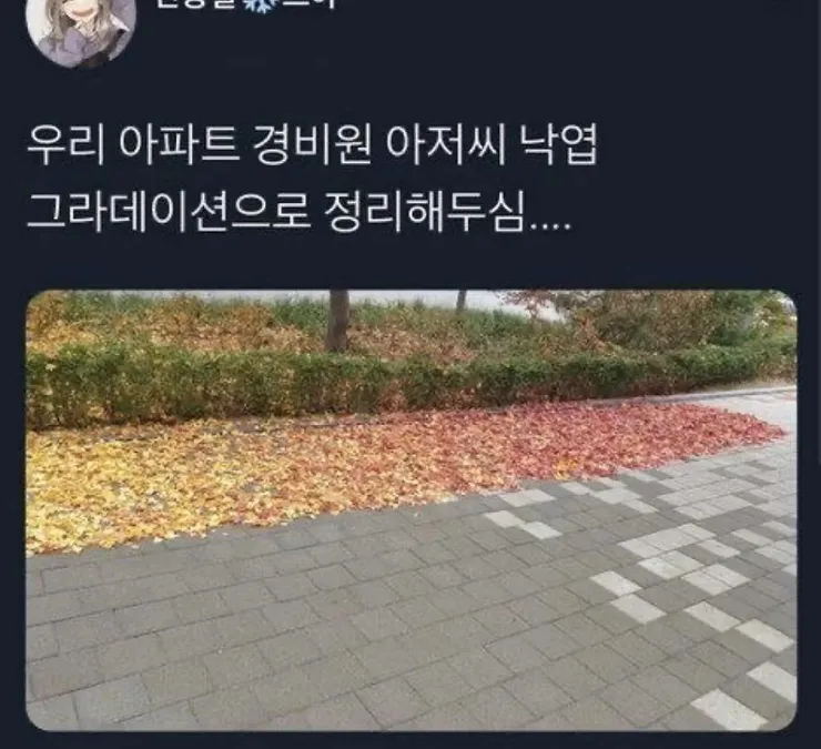 691c40558504d7.webp